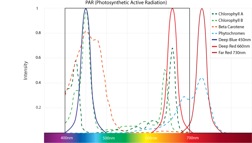 Optimale Pflanzenbeleuchtung nach PAR mit Deep Blue, Deep Red und Far Red LEDs für die Bildung von Chlorophyll, Beta Carotene und Phytochromes