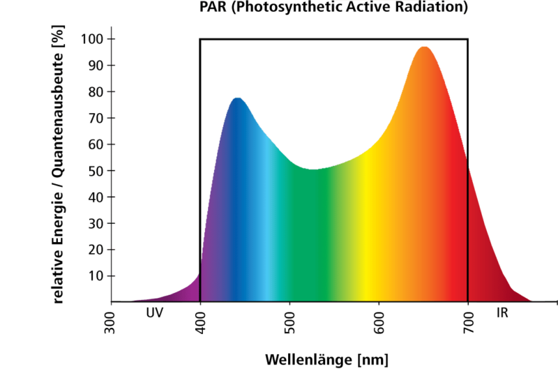 Grundlagen der Pflanzenbeleuchtung