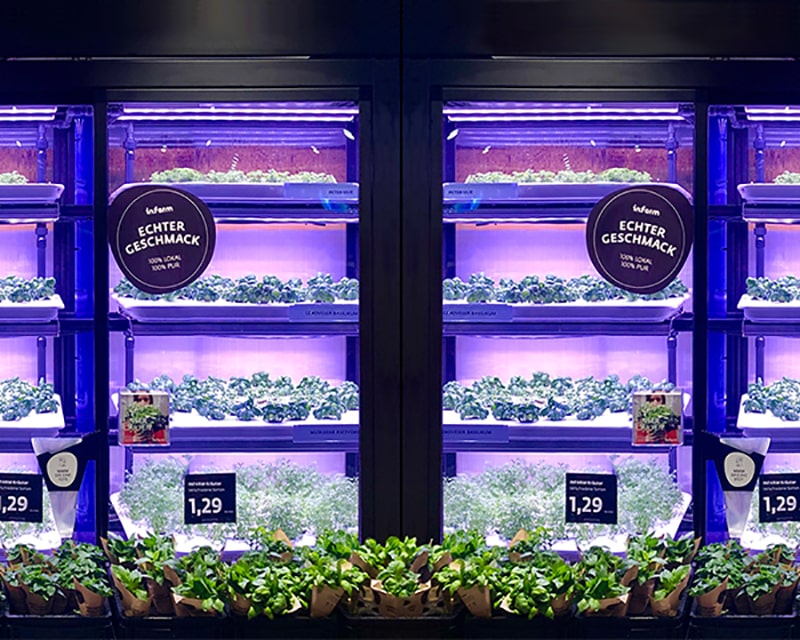 LED-Beleuchtung im Indoor Farming am Beispiel von Grow-Schränken