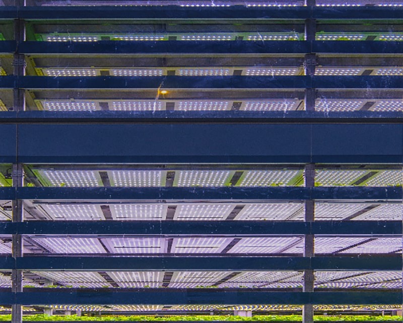 Großflächiger Einsatz von LEDs im Vertical Farming